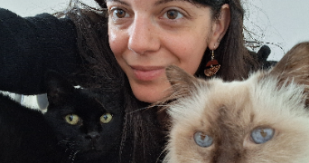 kelly cat sitter à GERZAT 63360_0