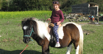 hélia pet sitter à LA TRONCHE 38700_2