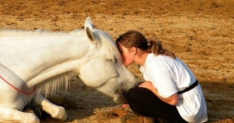 chloé pet sitter à BESSANCOURT 95550_1