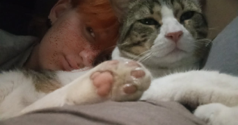 melissa pet sitter à MONTAUBAN 82000_1