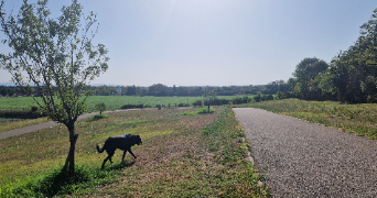 aurelie pet sitter à PUSIGNAN 69330_1