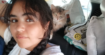 tasnime pet sitter à LES ULIS 91940_2