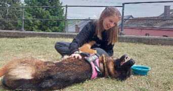 célia pet sitter à CALAIS 62100_4