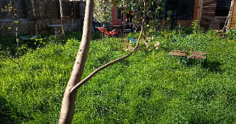 emmanuelle pet sitter à SOTTEVILLE LES ROUEN 76300_8