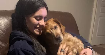 ambre pet sitter à LILLE 59000