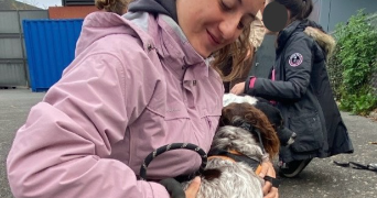 eden pet sitter à OUDON 44521_3