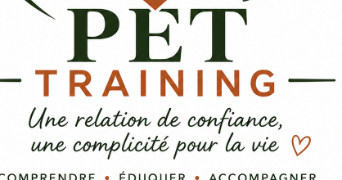 cyrille pet sitter à CHATILLON SUR CHALARONNE 01400_0