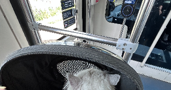 malo pet sitter à BREST 29200_3