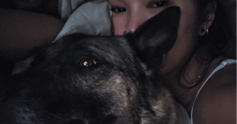 mélina pet sitter à PERNES LES FONTAINES 84210_0