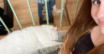 léna pet sitter à PARIS 15 75015_2