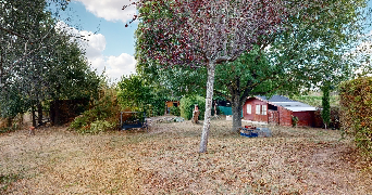 aymeric pet sitter à VILLEMATIER 31340_1