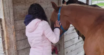 marie pet sitter à REIMS 51100