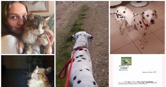 cassandre pet sitter à OLLIOULES 83190_3