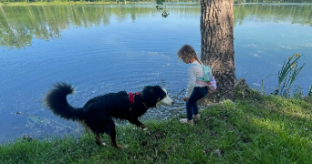 gwenaëlle pet sitter à CASTELSARRASIN 82100_0