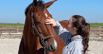 camille pet sitter à BEZANNES 51430_0