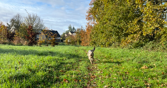 laure pet sitter à VITRE 35500_5