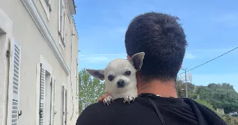 marion pet sitter à AIX EN PROVENCE 13100