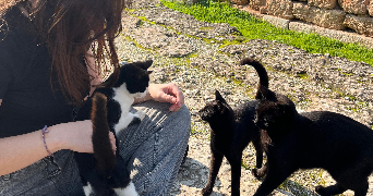 elise pet sitter à MANDRES LES ROSES 94520_5