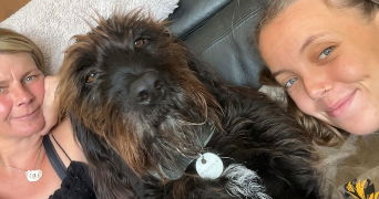 charlotte pet sitter à THIONVILLE 57100_3