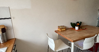 corinne pet sitter à PARIS 15 75015_0