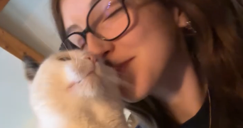 maryne pet sitter à LAMBESC 13410_1