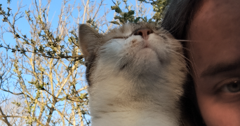 louane pet sitter à LONGVIC 21600_0