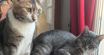 baptiste pet sitter à PARIS 11 75011_3