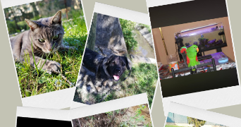 celine pet sitter à NEUVILLE SUR SAONE 69250_0