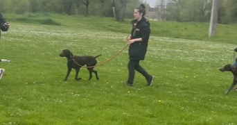 manon pet sitter à NANCY 54000_11