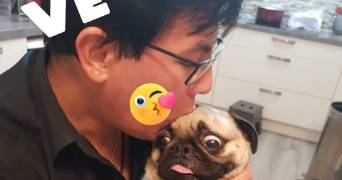 jonathan pet sitter à SARTROUVILLE 78500_3