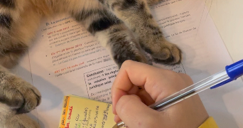 louise pet sitter à LYON 02 69002_2