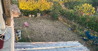 cerise pet sitter à TOULOUSE 31000_6
