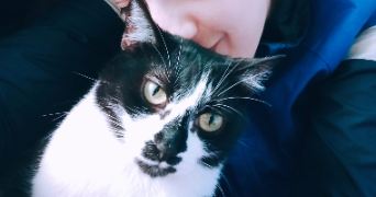 giulia pet sitter à IVRY SUR SEINE 94200_6