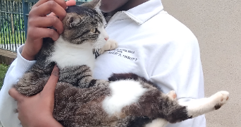 naima pet sitter à VERSONNEX 01210_2