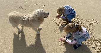 caroline dog sitter à ST MAUR DES FOSSES 94100_4