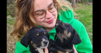 mango pet sitter à LYON 03 69003_0