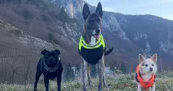 axelle pet sitter à AXAT 11140_1