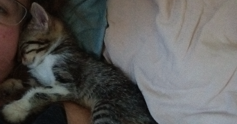 sandra pet sitter à MOISSAC 82200_7