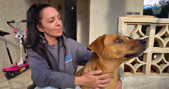 mélissa pet sitter à CANDILLARGUES 34130_4