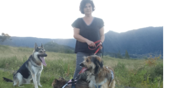 jimmy isabelle  dog sitter à MERXHEIM 68500_2