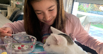 caroline  pet sitter à GRIESHEIM PRES MOLSHEIM 67870_4