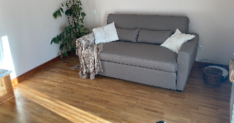 shani pet sitter à BORDEAUX 33300_4