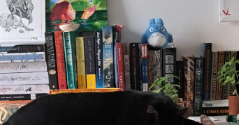 camille pet sitter à lyon 69008_11