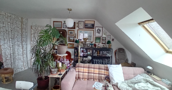 caroline cat sitter à MUZILLAC 56190_4