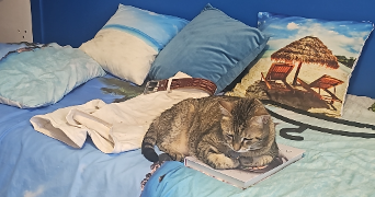 pascale pet sitter à VILLEURBANNE 69100_3