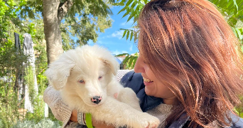 emilie pet sitter à COTIGNAC 83570_2