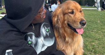 guy-francisca pet sitter à PARIS 13 75013_1