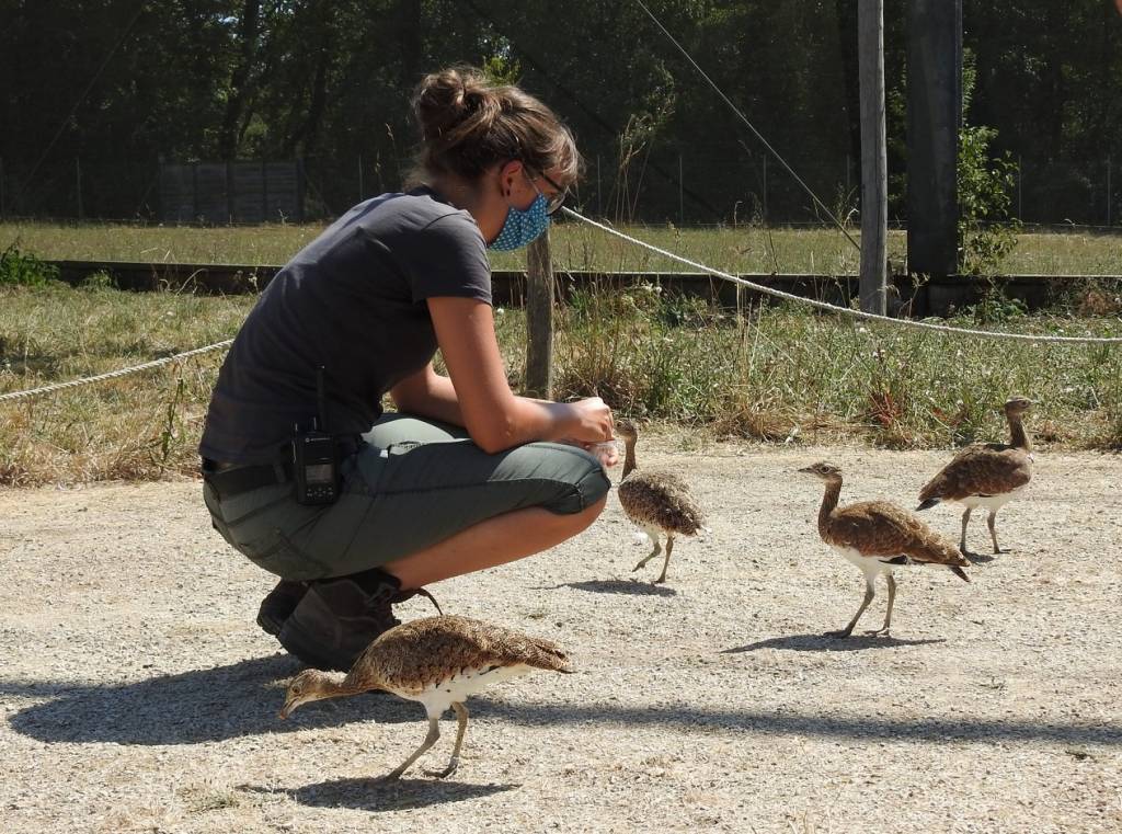 Oriane pet sitter à Prissé-la-Charrière 79360