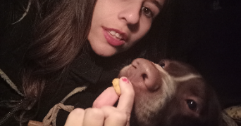 elodie pet sitter à MARSEILLE 08 13008_3