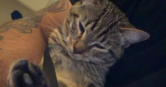 jayden pet sitter à PARIS 12 75012_2